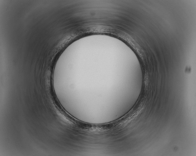 X0000097750445200803281614