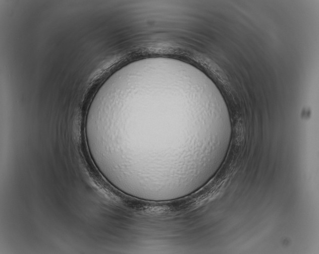 X0000097750446200803281614