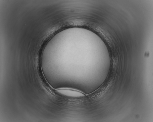 X0000097750447200803281614