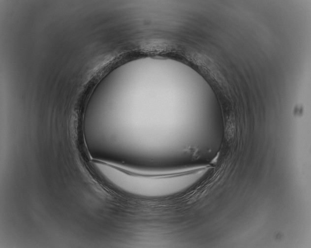 X0000097750448200803281614