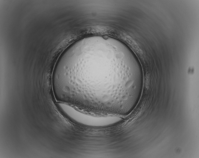 X0000097750449200803281614