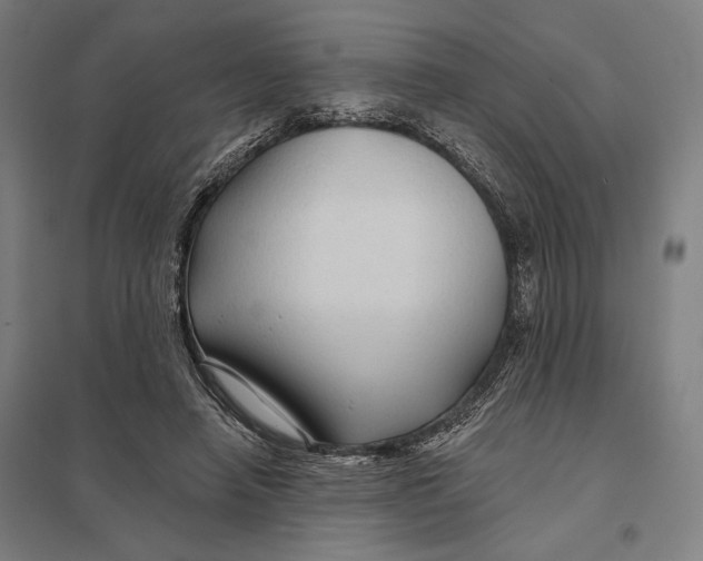 X0000097750450200803281614