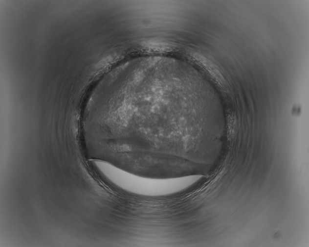 X0000097750451200803281614