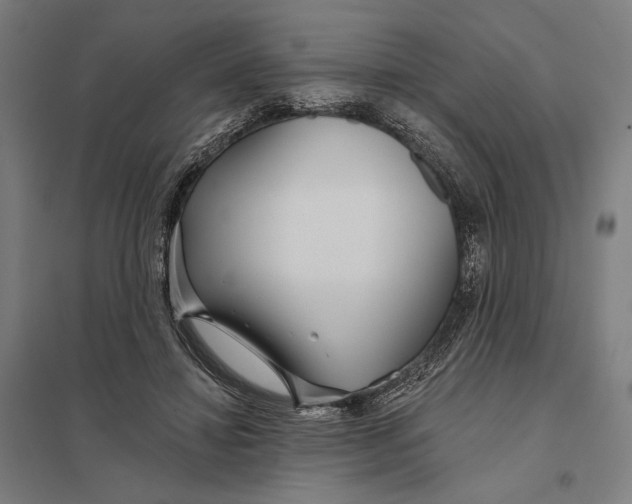 X0000097750452200803281614