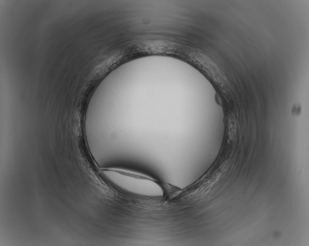 X0000097750453200803281614