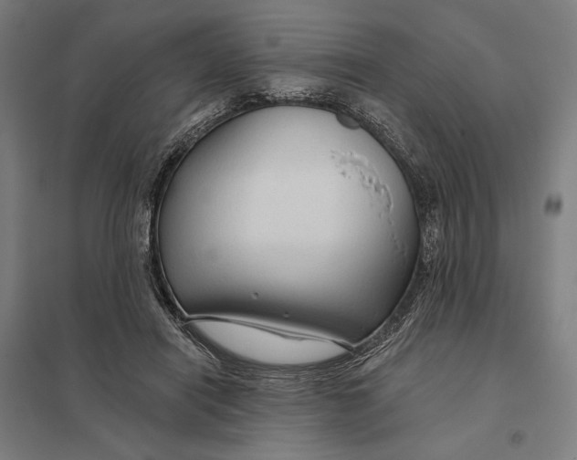 X0000097750454200803281614