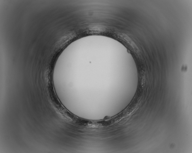 X0000097750455200803281614