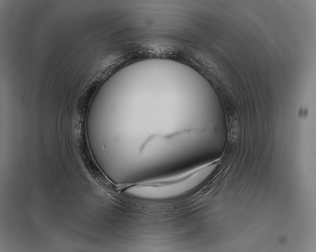 X0000097750456200803281614