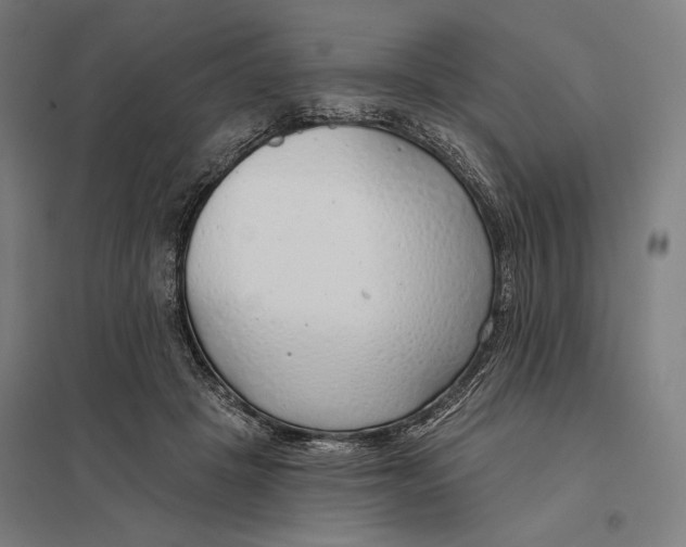 X0000097750457200803281614