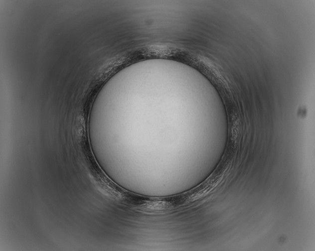 X0000097750459200803281614