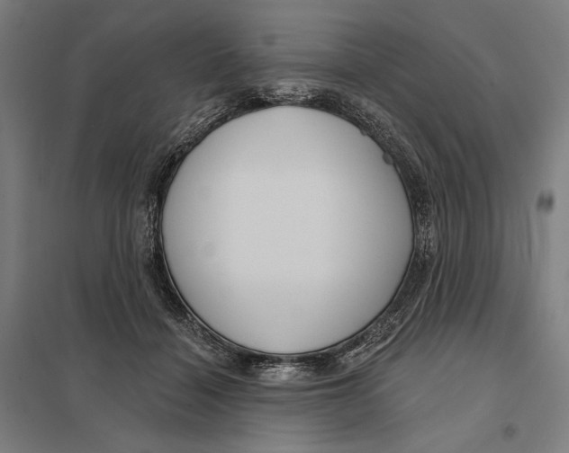 X0000097750460200803281614