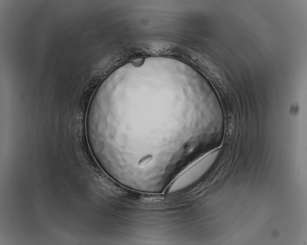 X0000097750461200803281614