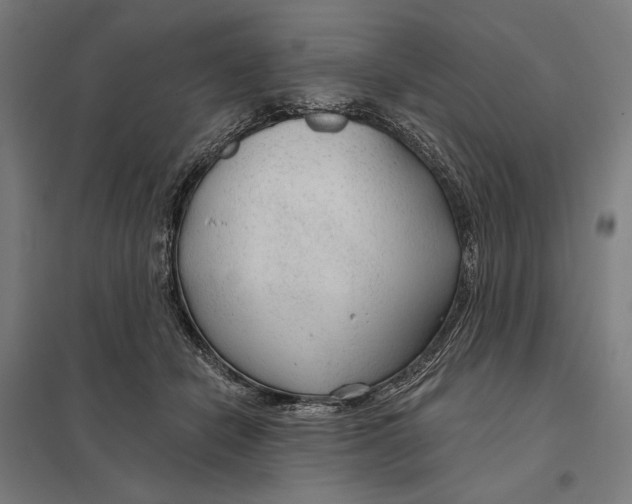 X0000097750462200803281614