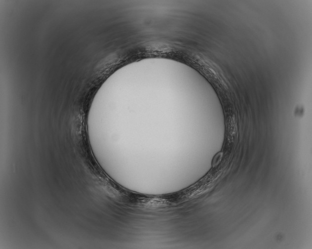 X0000097750463200803281614