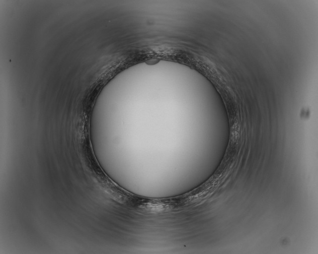 X0000097750464200803281614