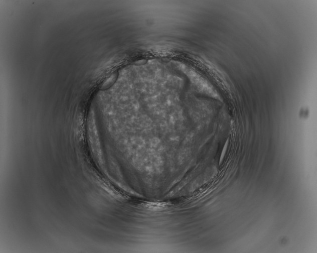 X0000097750465200803281614