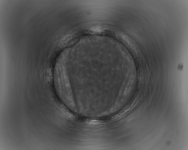 X0000097750467200803281614