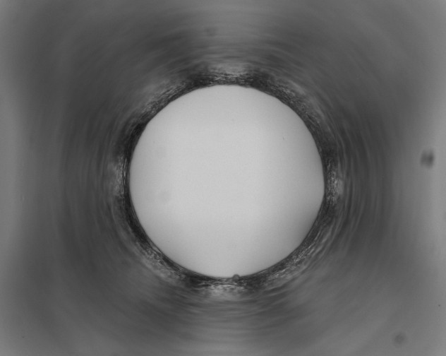 X0000097750468200803281614