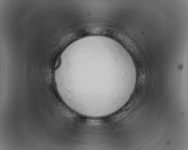 X0000097750469200803281614