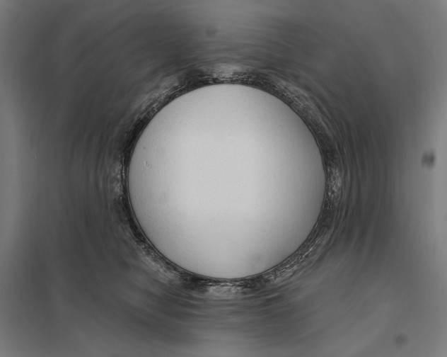 X0000097750470200803281614