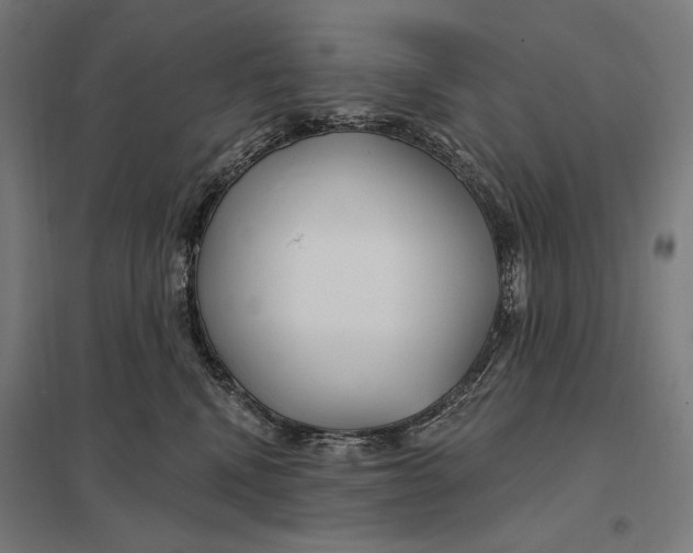 X0000097750472200803281614