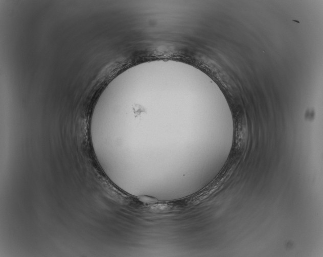 X0000097750473200803281614