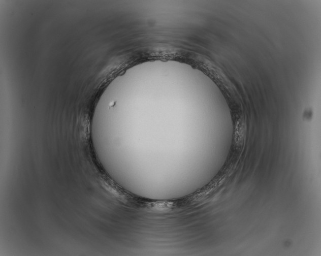 X0000097750474200803281614