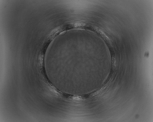 X0000097750475200803281614