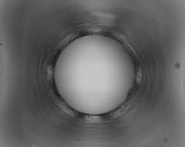 X0000097750476200803281614