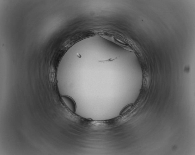 X0000097750477200803281614