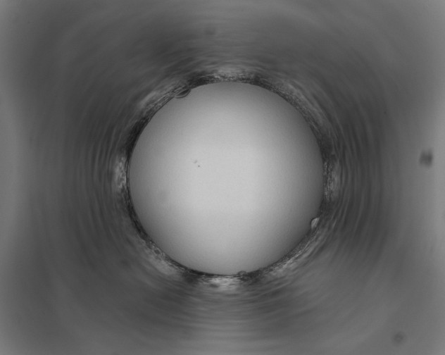 X0000097750478200803281614