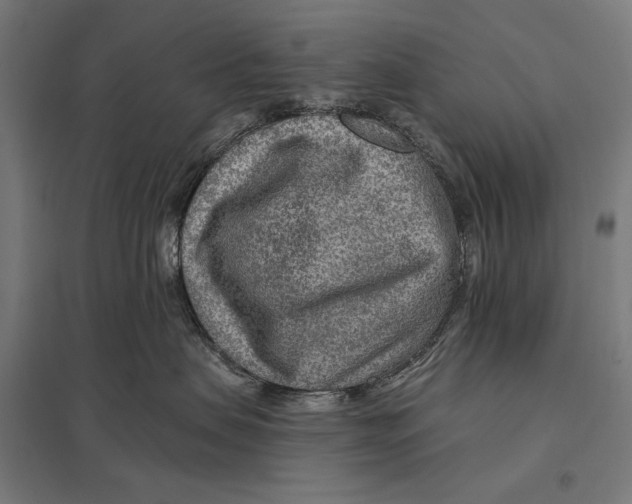 X0000097750479200803281614