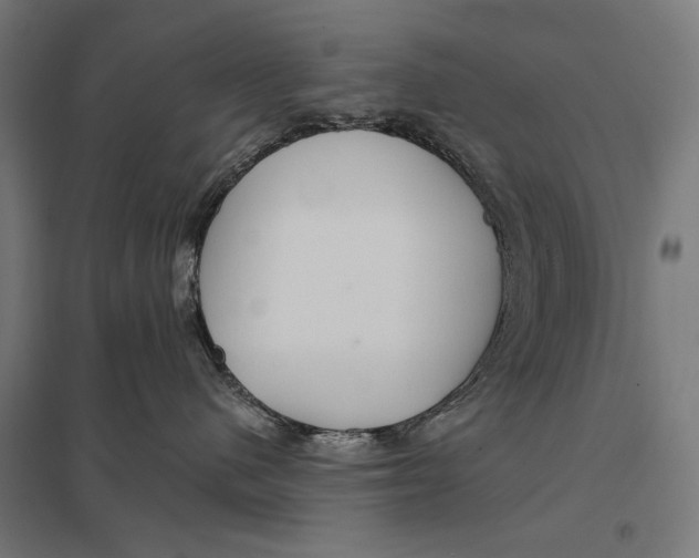 X0000097750480200803281614