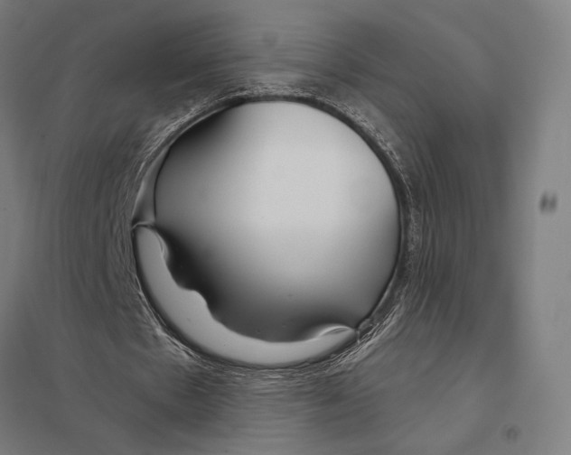 X0000097750481200803281614