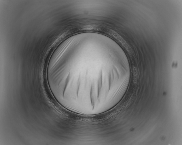 X0000097750482200803281614