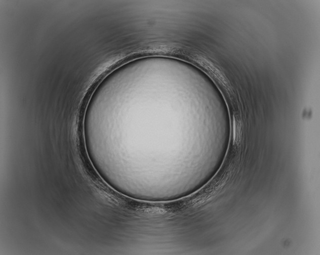 X0000097750483200803281614