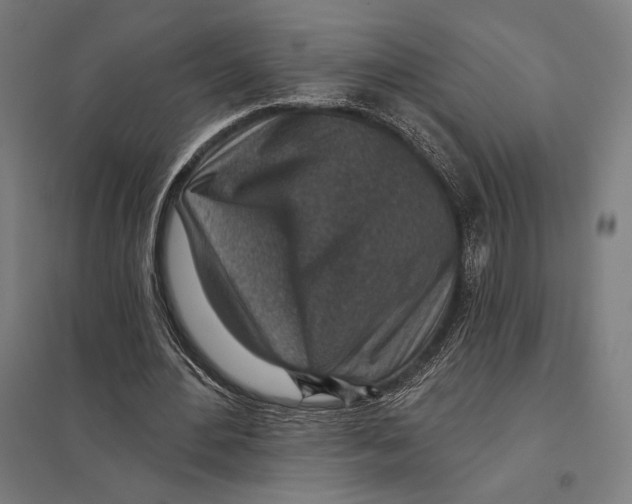 X0000097750484200803281614