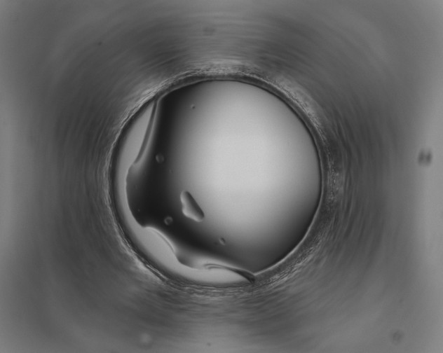 X0000097750485200803281614