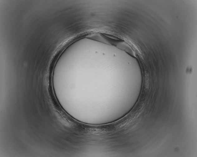 X0000097750486200803281614