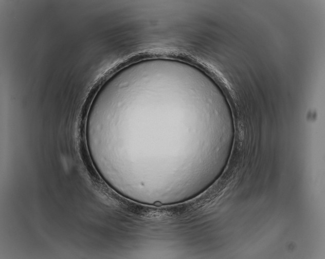 X0000097750487200803281614