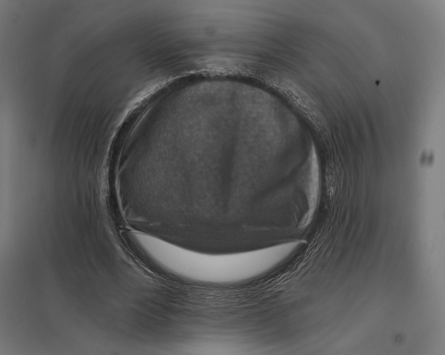 X0000097750488200803281614