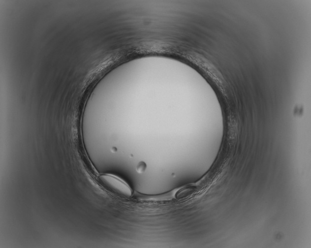 X0000097750489200803281614