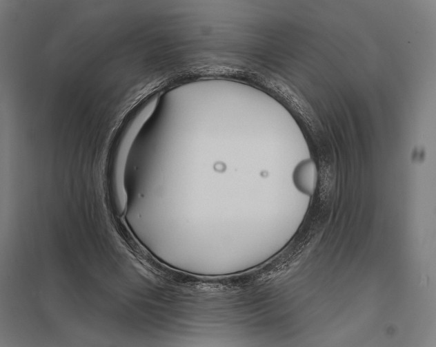 X0000097750490200803281614