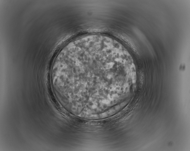 X0000097750491200803281614