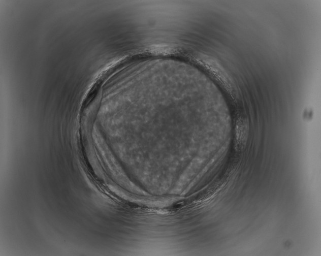 X0000097750492200803281614