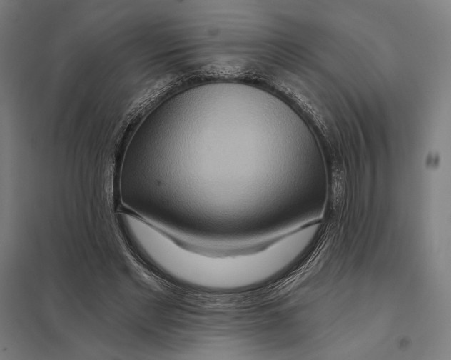 X0000097750493200803281613