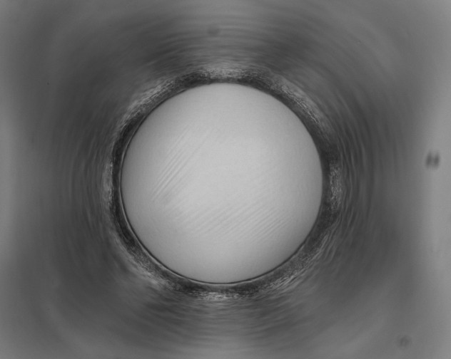 X0000097750494200803281613