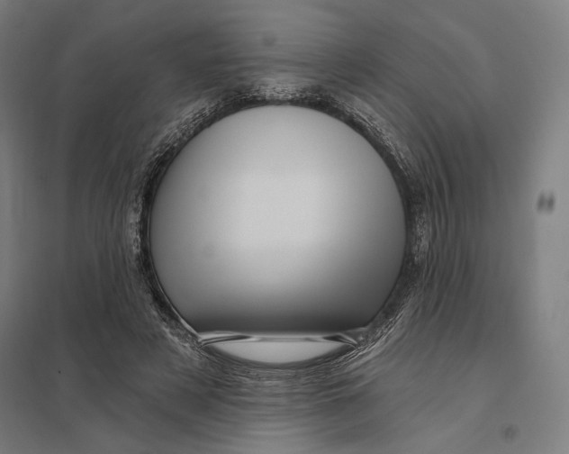 X0000097750497200803281613