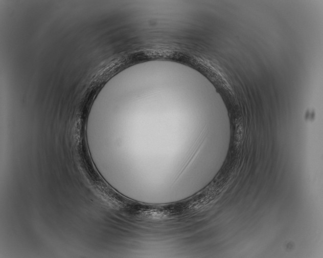 X0000097750498200803281613