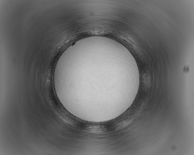 X0000097750499200803281613